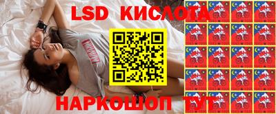 молекула духа Новозыбков